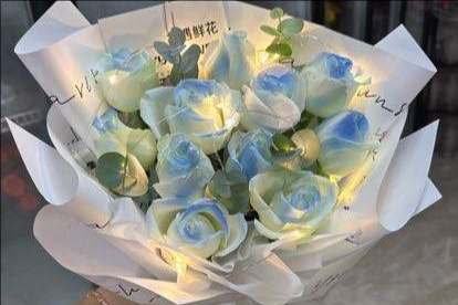 ���ݶ����ػ���