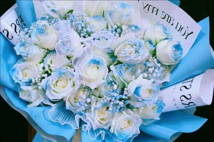 ���ݶ����ػ���